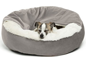 Best Dog Beds for Dachshunds